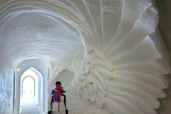 d01_2026-01-28-15.54.06-1_Radiant