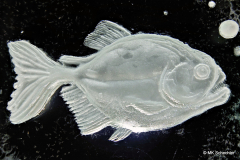 d03_2026-01-28-22.07.14_Radiant