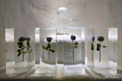 d08_2026-01-28-15.47.47_Radiant