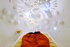 f01_2026-01-28-17.45.38_Radiant