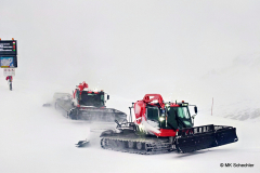 g01_2026-01-29-08.32.59_Radiant