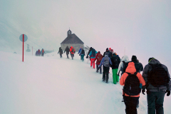 g02_2026-01-29-07.46.59_Radiant