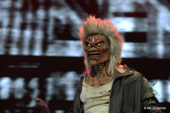Eddie