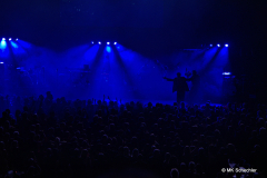 Kamrad als Stimmungsbooster