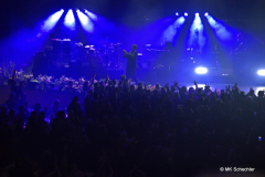 Kamrad als Stimmungsbooster