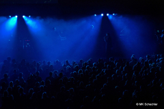 Kamrad als Stimmungsbooster