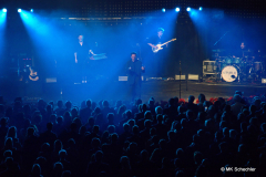 Kamrad als Stimmungsbooster