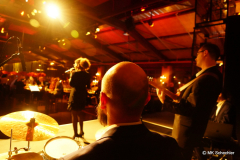 Musik: Lounge Experience