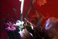 63. Landespresseball Baden-Württemberg