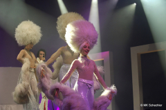 Nils Strassburg, Vegas Showgirls