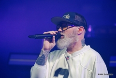 Lim Bizkit in Stuttgart