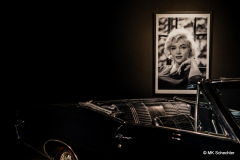 Marilyn100_A1_1080-3