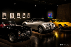 Marilyn100_A3_1080-10