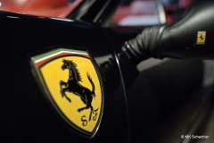 Ferrari Details