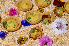 c1_2026-02-09-18.47.47_Radiant