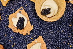 c2a_2026-02-09-18.58.01_Radiant