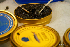 c2b_DS301145_Radiant