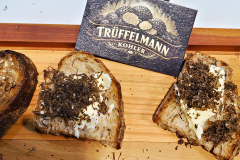 c3_2026-02-09-19.02.19_Radiant