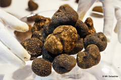 c3a_DS301114_Radiant