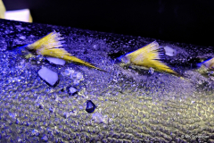 c5a_2026-02-09-21.10.06_Radiant