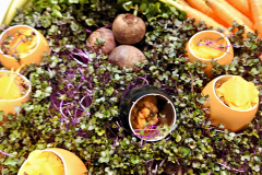 c7_2026-02-09-19.40.51_Radiant