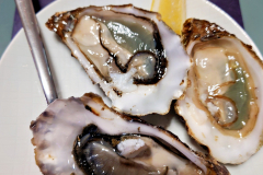 c8d_2026-02-09-20.29.35_Radiant