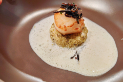 d3_2026-02-09-19.53.30_Radiant