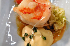 d5_2026-02-09-19.56.59_Radiant