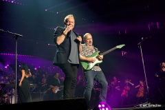 CUTTING CREW