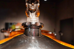 Minerva Details