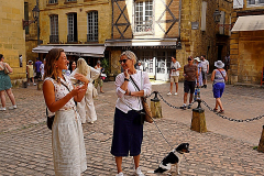 Sarlat-1a