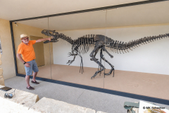 Sarlat-3d