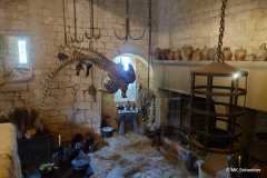 Sarlat-4d