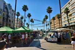 Markttag in Canet-en-Roussillon