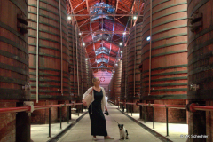 Caves Byrhh, Fasslager