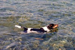 Wasserbad für Mads