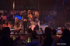 Vegas Showgirls