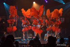 Vegas Showgirls