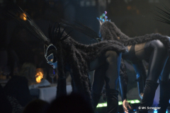 Vegas Showgirls