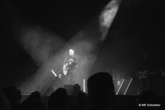 Rainhard Fendrich Live – Nur ein Wimpernschlag in Stuttgart