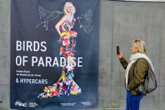 2025-11-15-14.24.20_Radiant