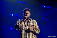 Shaggy