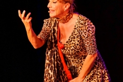 Sissi Perlinger "ICH BLEIB DANN MAL JUNG"