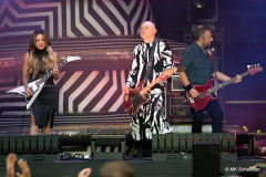 Smashing Pumpkins