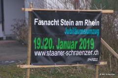 Faschingsumzug Stein am Rhein 2019