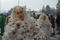 Faschingsumzug Stein am Rhein 2019