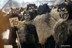 Faschingsumzug Stein am Rhein 2019