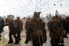 Faschingsumzug Stein am Rhein 2019