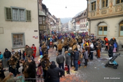 Faschingsumzug Stein am Rhein 2019