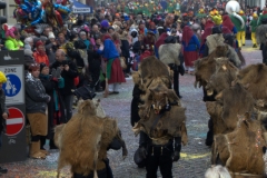 Faschingsumzug Stein am Rhein 2019